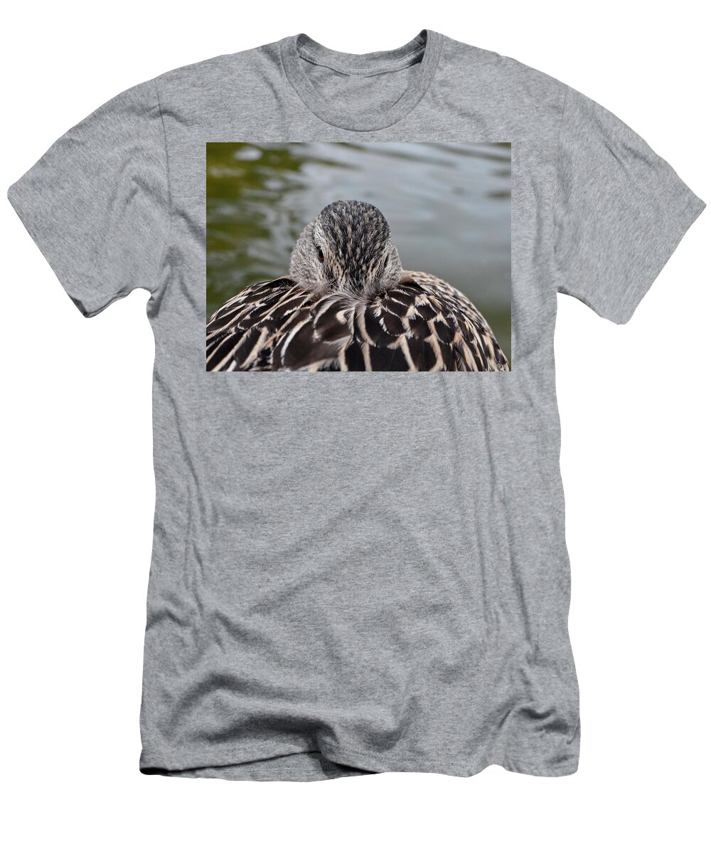 Bird T-Shirt featuring the photograph Watching While Resting by Maggy Marsh