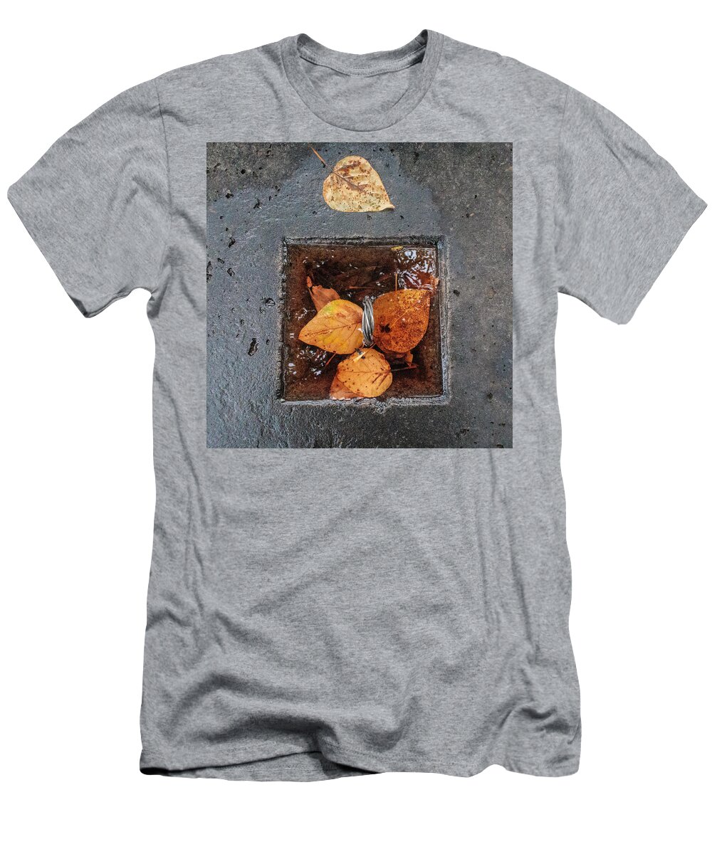 Leaves T-Shirt featuring the photograph Water in Concrete with Leaves by Mary Lee Dereske