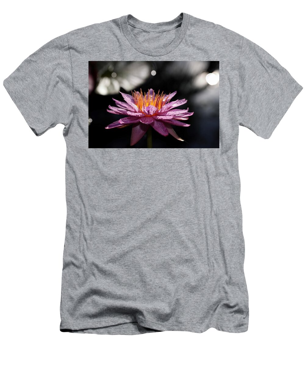 Water Lily T-Shirt featuring the photograph Water Lily in the Spotlight by Mingming Jiang