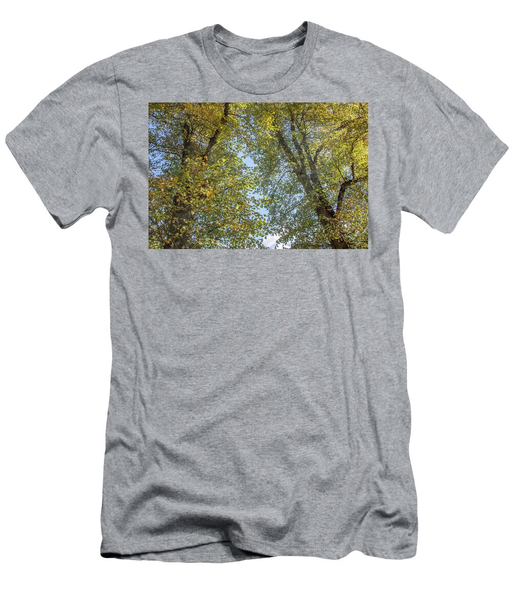 Waterlow Park T-Shirt featuring the photograph Waterlow Park Trees Fall 1 by Edmund Peston