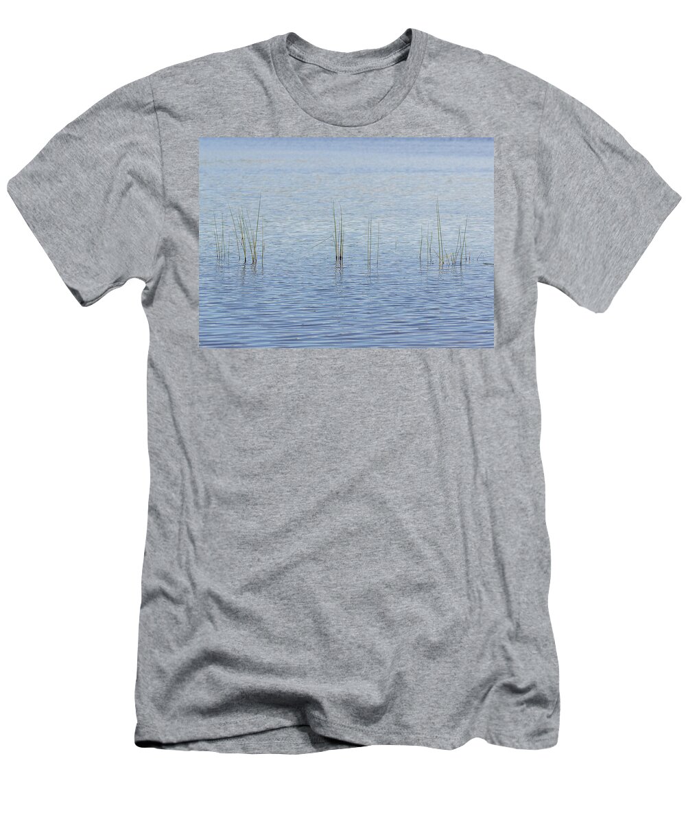 Landscapes T-Shirt featuring the photograph Waterscapes - Shohola Lake Poconos by Amelia Pearn