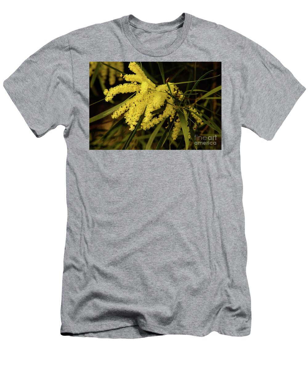 Flora;plant;flower;acacia;wattle;yellow;wildflower T-Shirt featuring the photograph Wattle C02 by Werner Padarin