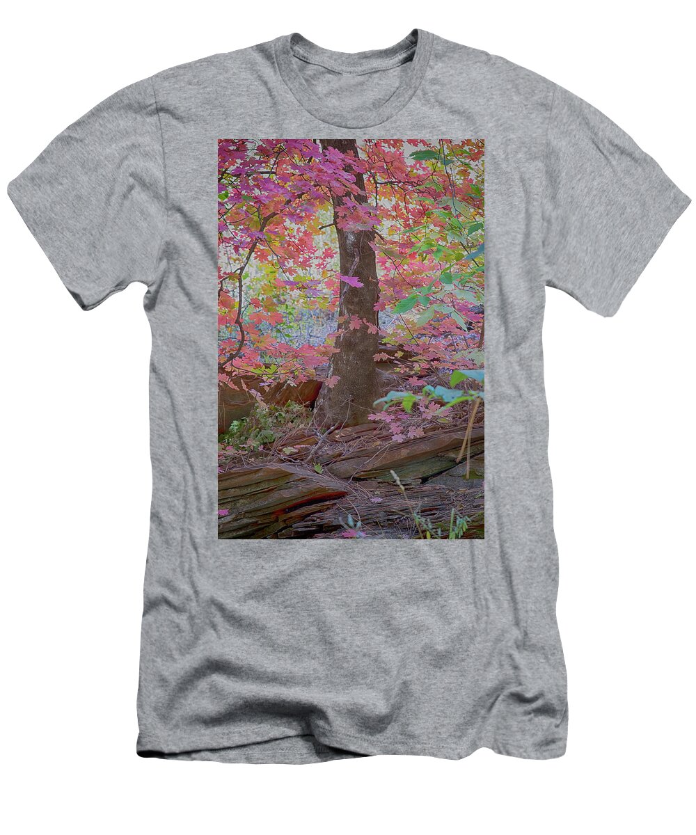 Oak Creek Canyon T-Shirt featuring the photograph Westfork Dreams by Tom Kelly