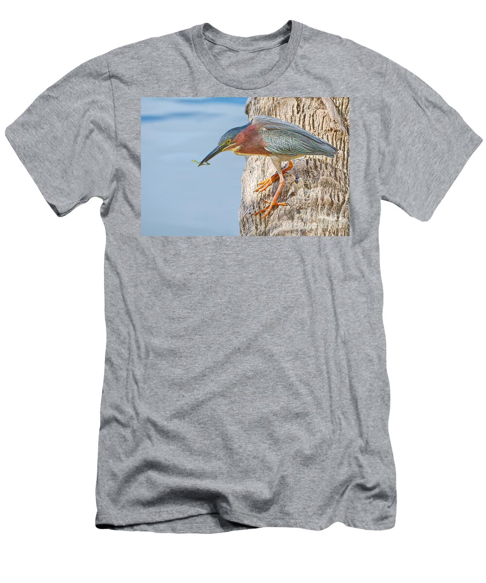 Birds T-Shirt featuring the photograph What's for Lunch by Judy Kay