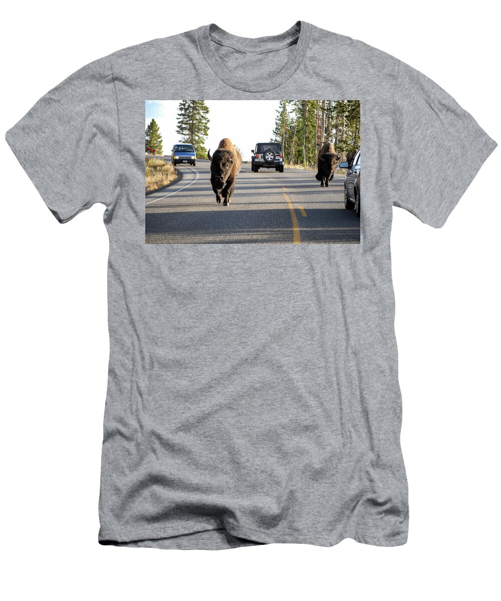 Buffalo T-Shirt featuring the photograph Where The Buffalo Roam - Bison, Yellowstone National Park, Wyoming by Earth And Spirit