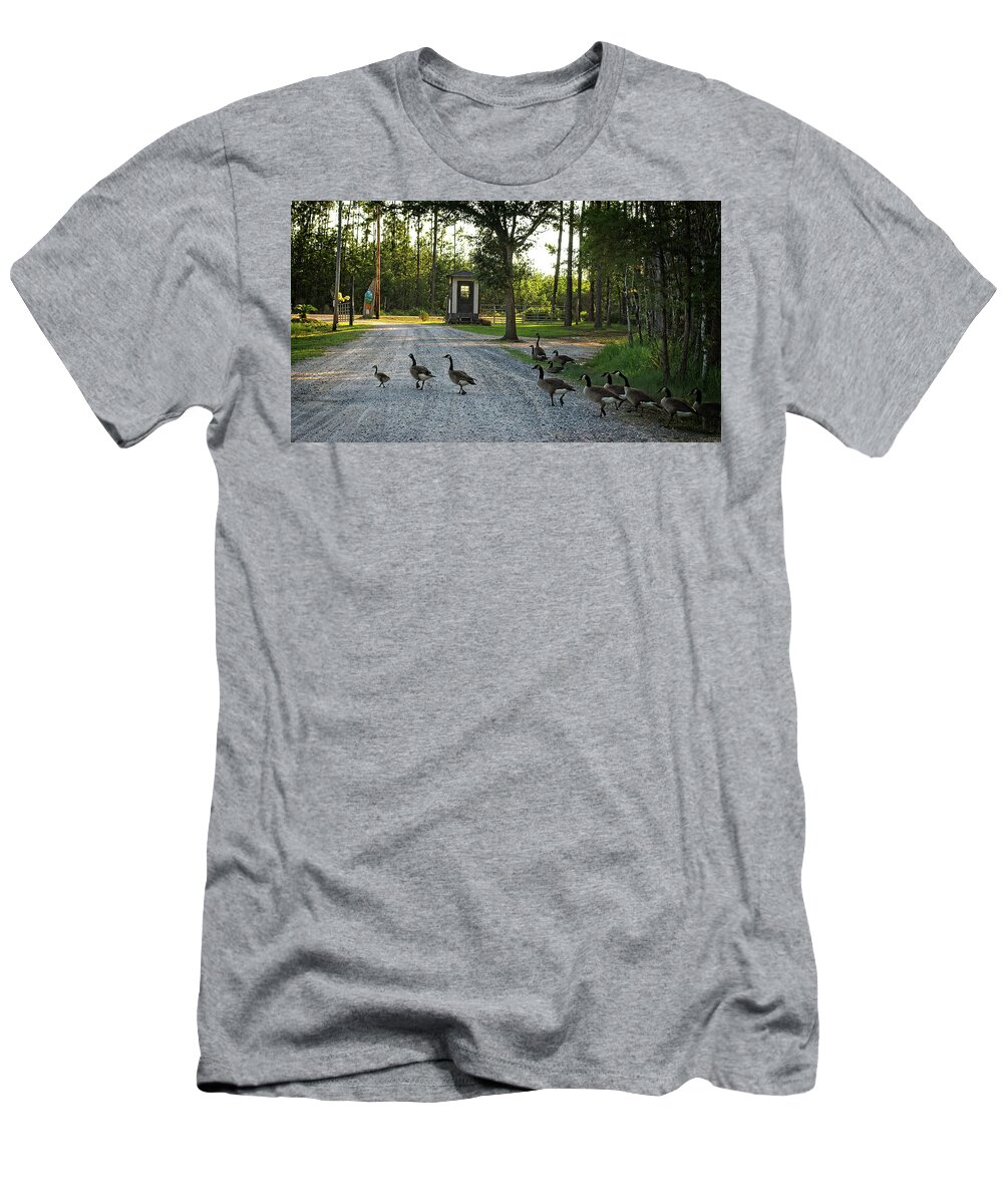 Geese T-Shirt featuring the photograph Why Did the Geese Cross the Road by George Taylor
