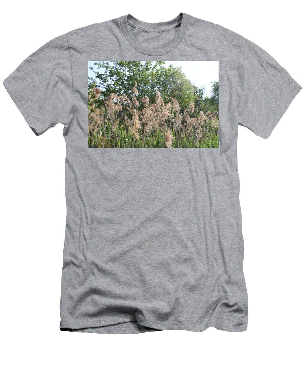 Wild T-Shirt featuring the photograph Wild Grass by Kenneth Pope