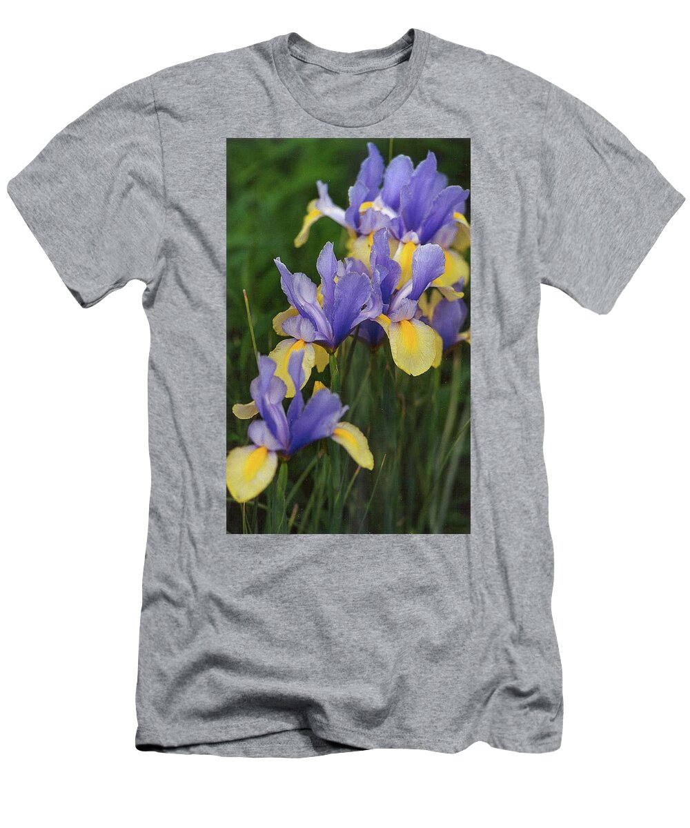 Flowers T-Shirt featuring the photograph Wild Iris by Bonnie Colgan