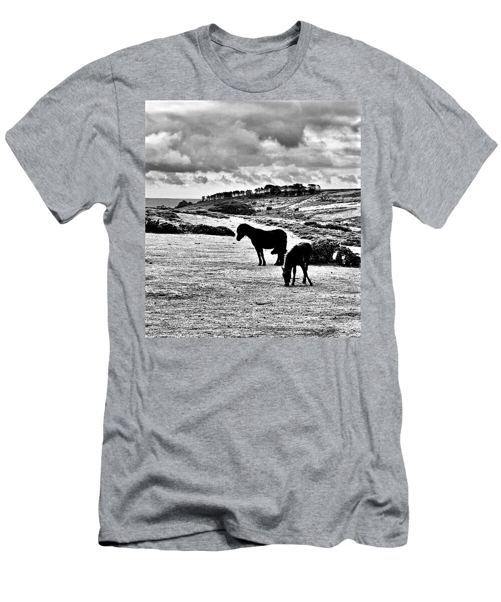 Horses T-Shirt featuring the photograph Wild Ponies of Dartmoor by John Anderson