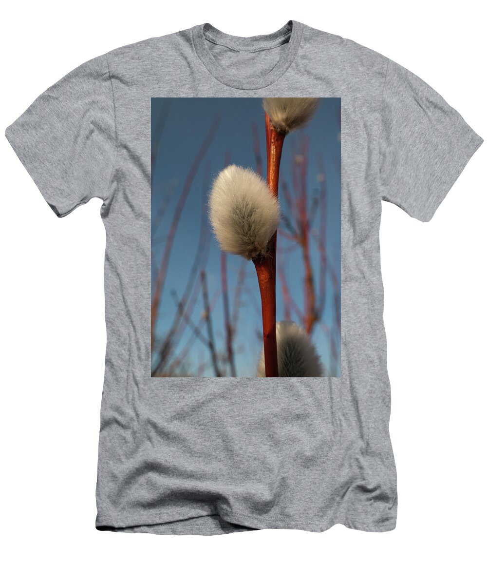 Spring T-Shirt featuring the photograph Willow Catkin by Karen Rispin