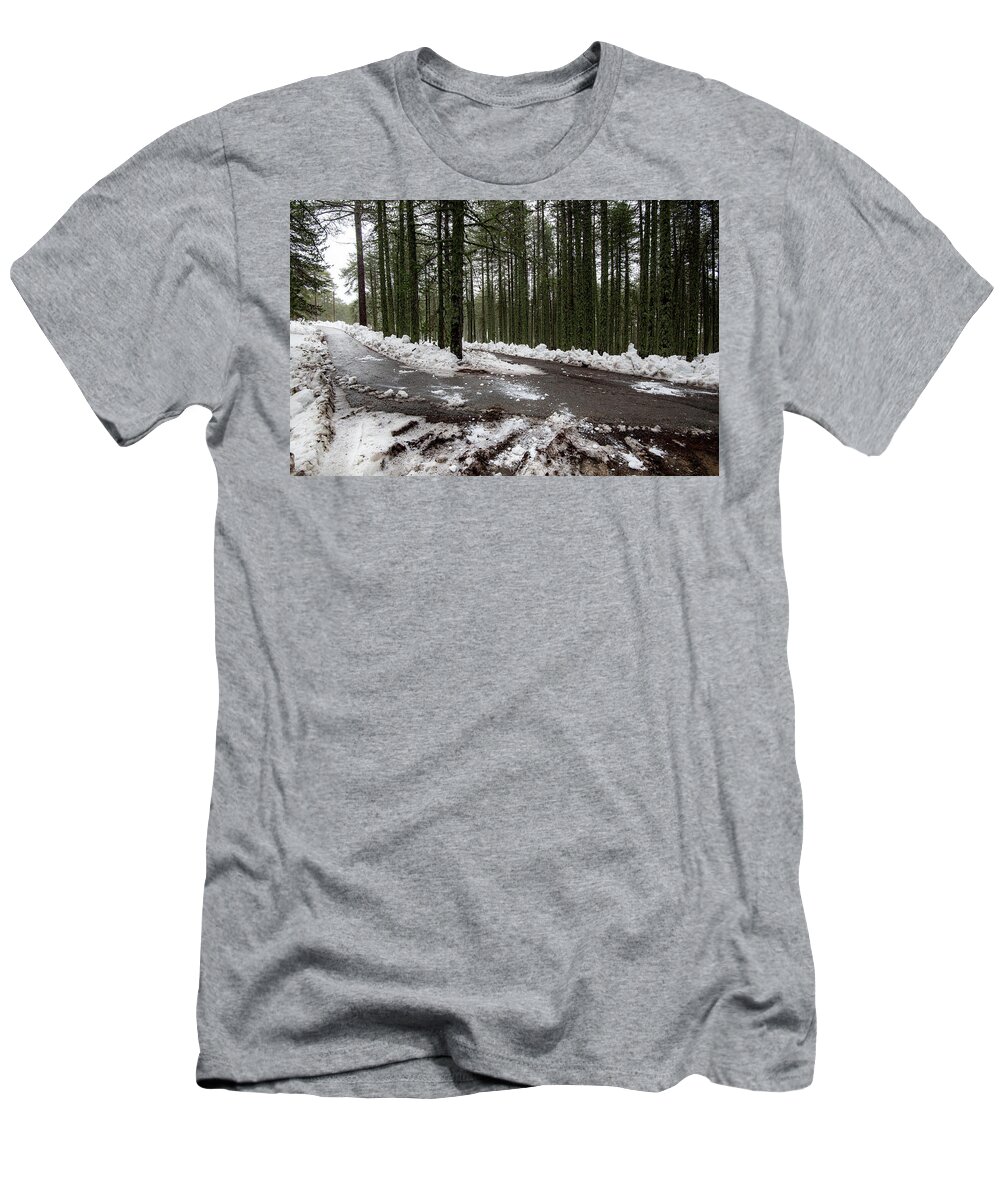 Wintertime T-Shirt featuring the photograph Winter forest landscape with snow on the ground by Michalakis Ppalis