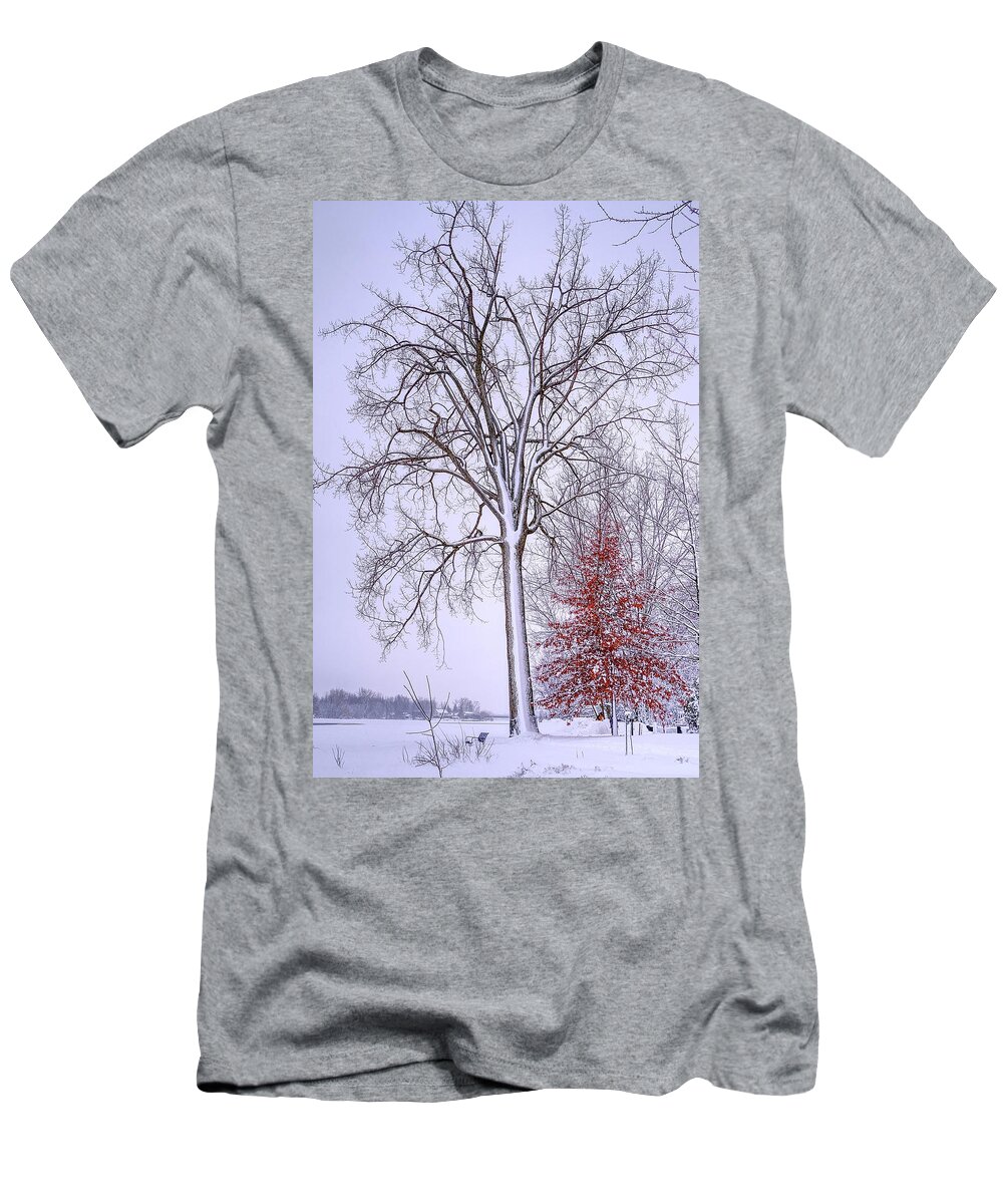 White T-Shirt featuring the photograph Winter, i don't wanna a lose red by Carl Marceau