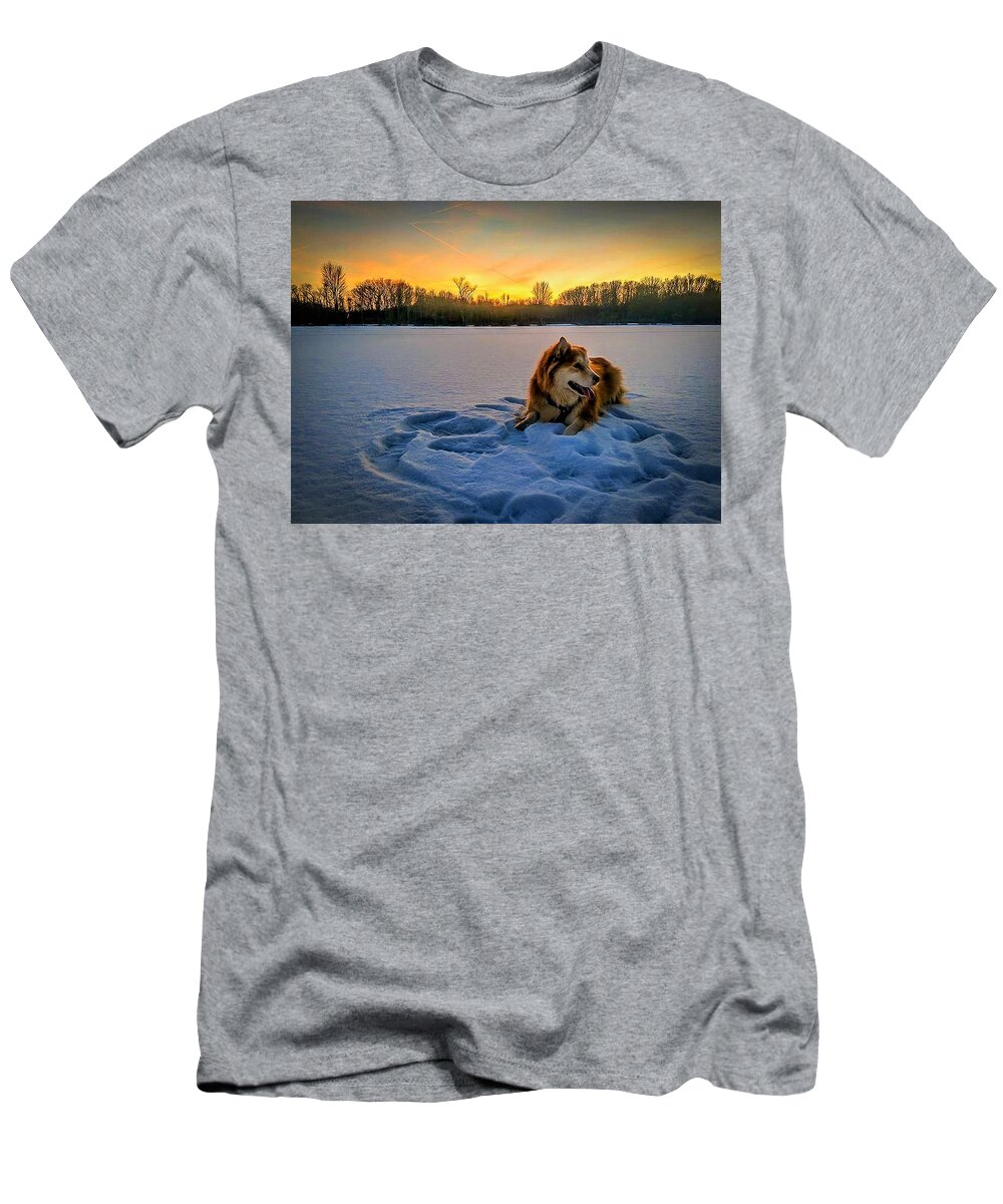  T-Shirt featuring the photograph Winter Sunset by Brad Nellis