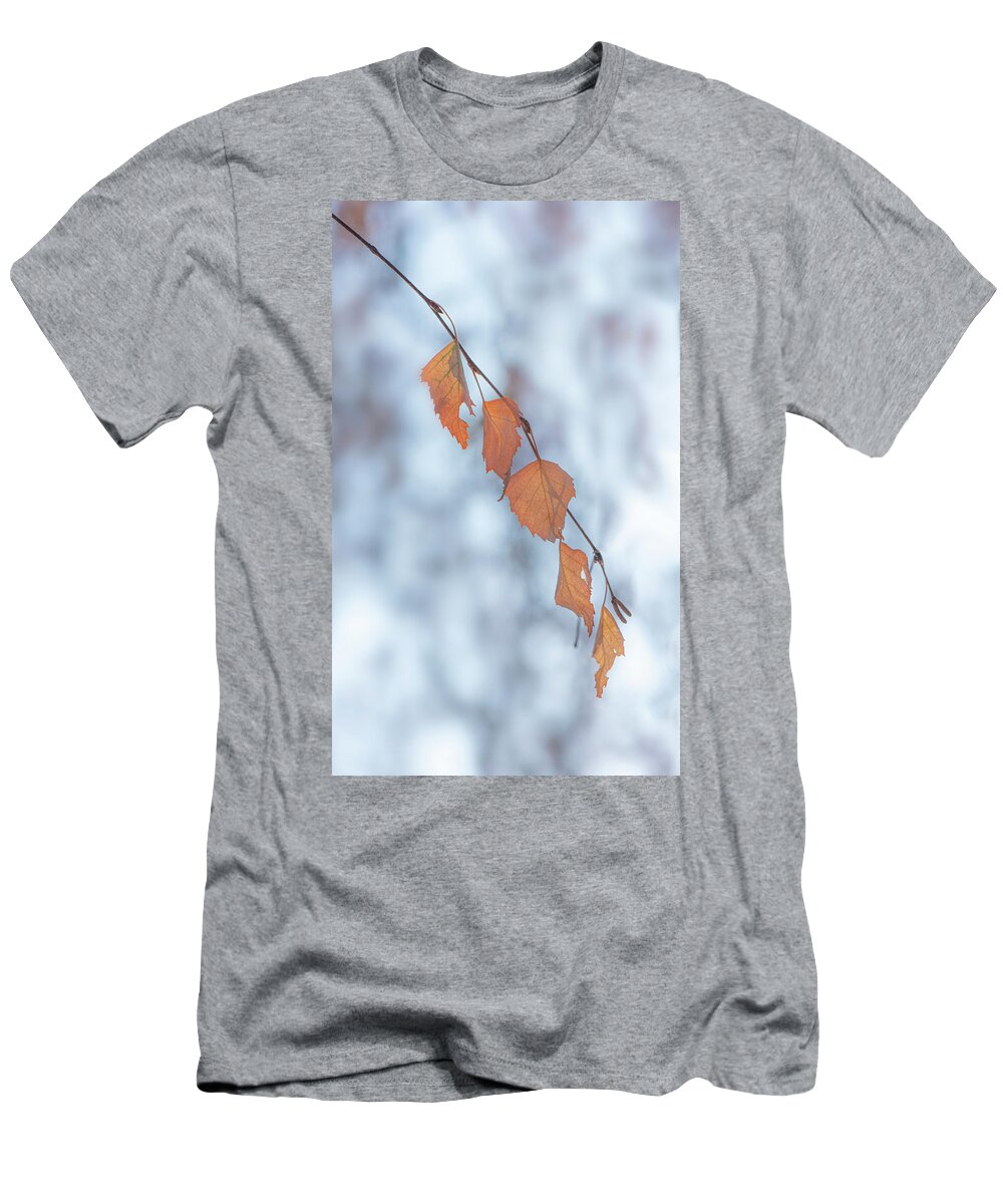 Winter T-Shirt featuring the photograph Winter Weeping Birch Leaves by Karen Rispin