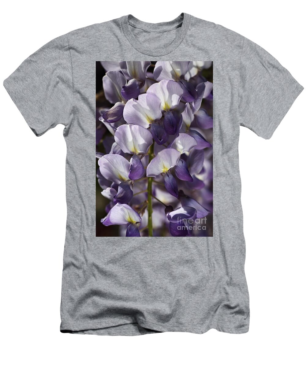 Acanthaceae T-Shirt featuring the photograph Wisteria In Spring by Joy Watson