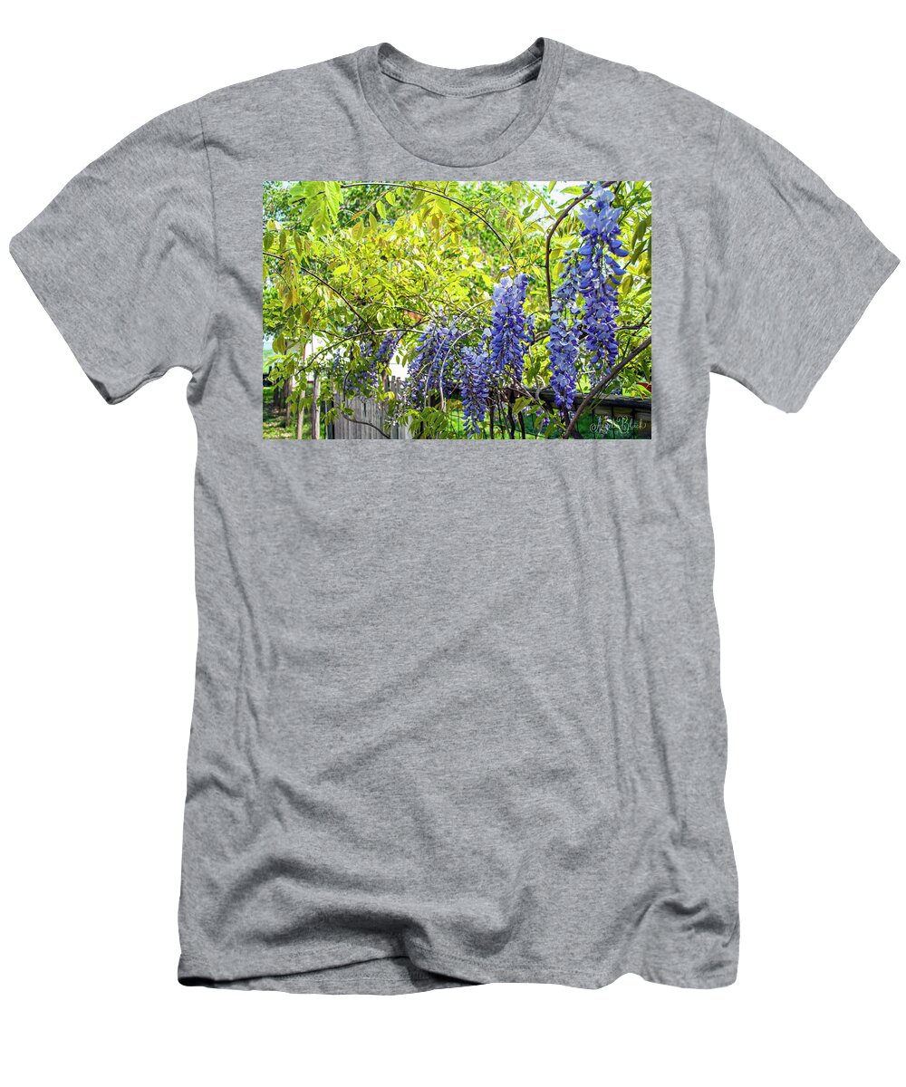 Wisteria T-Shirt featuring the photograph Wisteria on the Fence by Angela Black