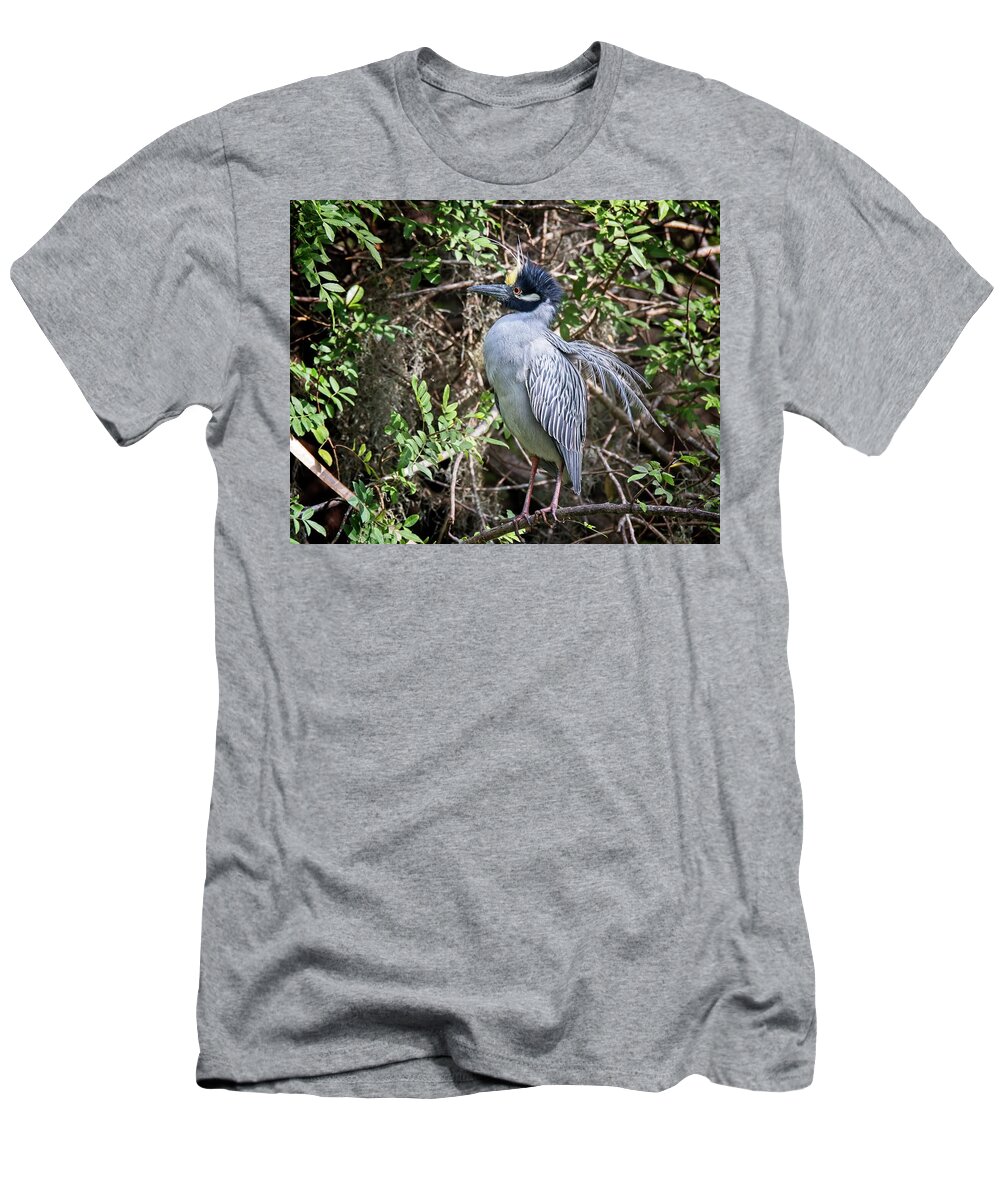  T-Shirt featuring the photograph Yellow-crowned Night Heron during mating season by Ronald Lutz