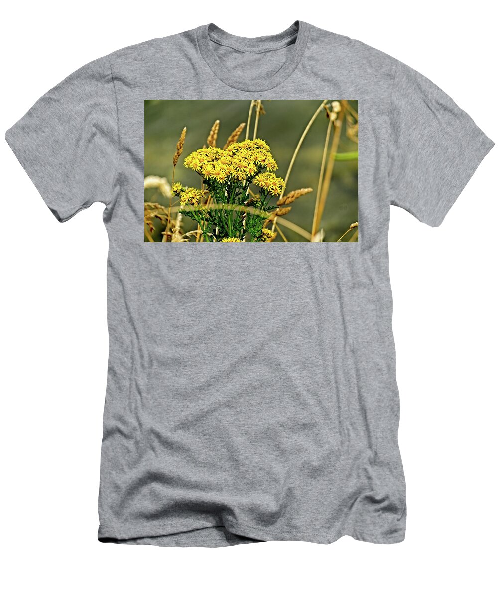 America T-Shirt featuring the photograph Yellow Flowers, Brown Stalks by David Desautel