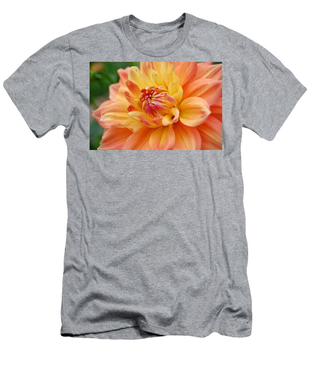Dahlia T-Shirt featuring the photograph Yellow Orange Dahlia 1 by Amy Fose