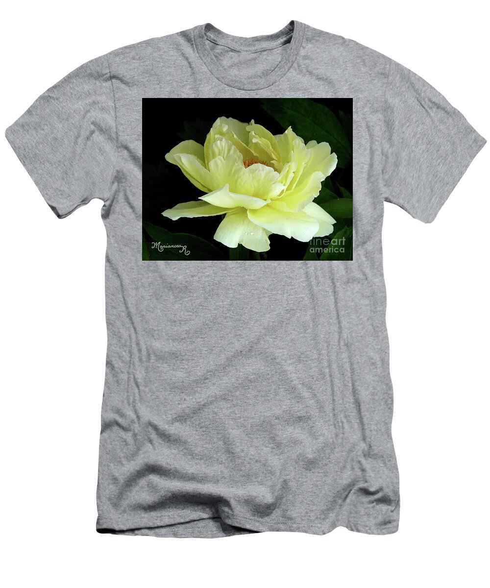 Nature T-Shirt featuring the photograph Yellow Peony by Mariarosa Rockefeller