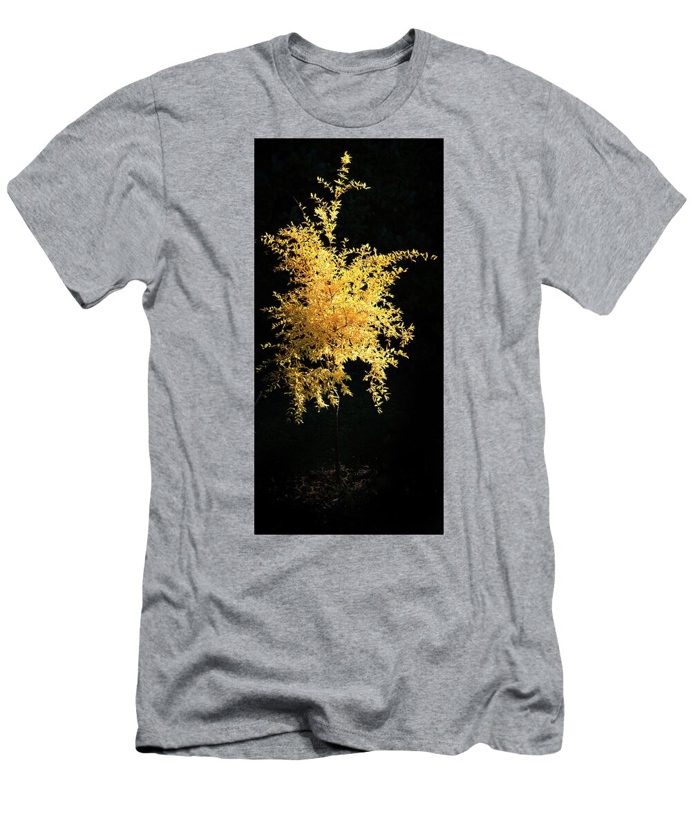 Agriculture T-Shirt featuring the photograph Yellow pomegranate tree on a dark background. by Jean-Luc Farges