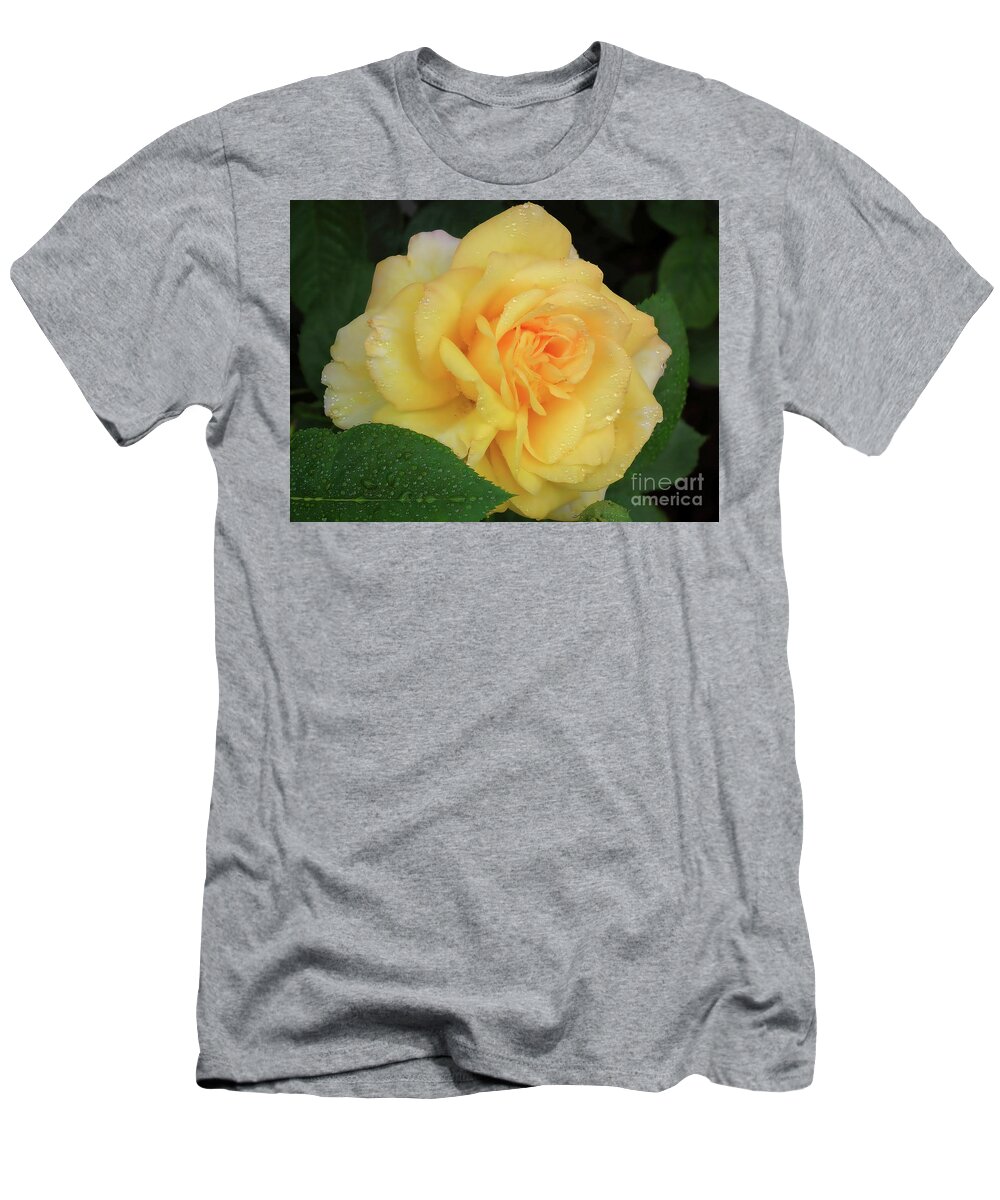 Roses T-Shirt featuring the photograph Yellow Rose Bloom by Scott Cameron