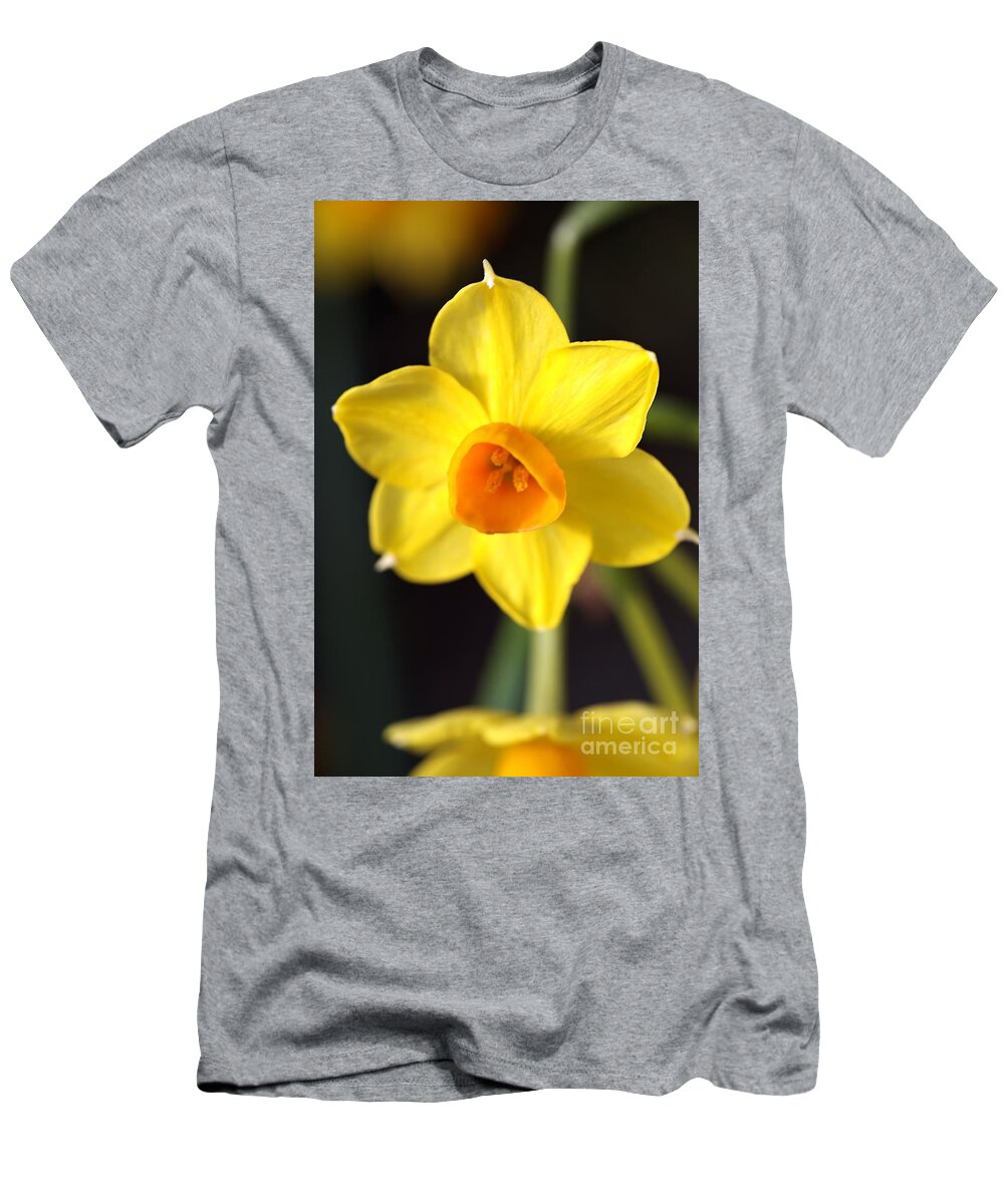 Daffodil T-Shirt featuring the photograph Yellows of Jonquils by Joy Watson