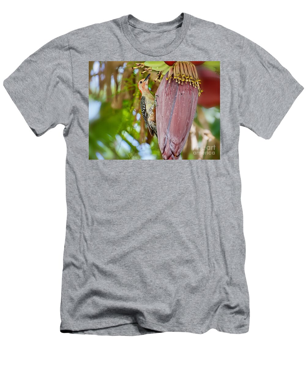 Banana Tree T-Shirt featuring the photograph Yes We Have No Bananas by Judy Kay