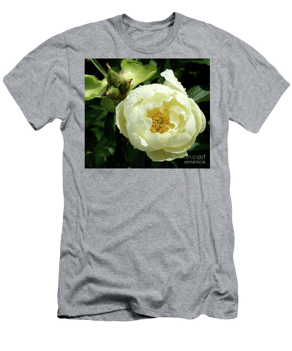 Peony T-Shirt featuring the photograph Youth and Old Age Prairie Moon Peony After Rain by Stephanie Weber