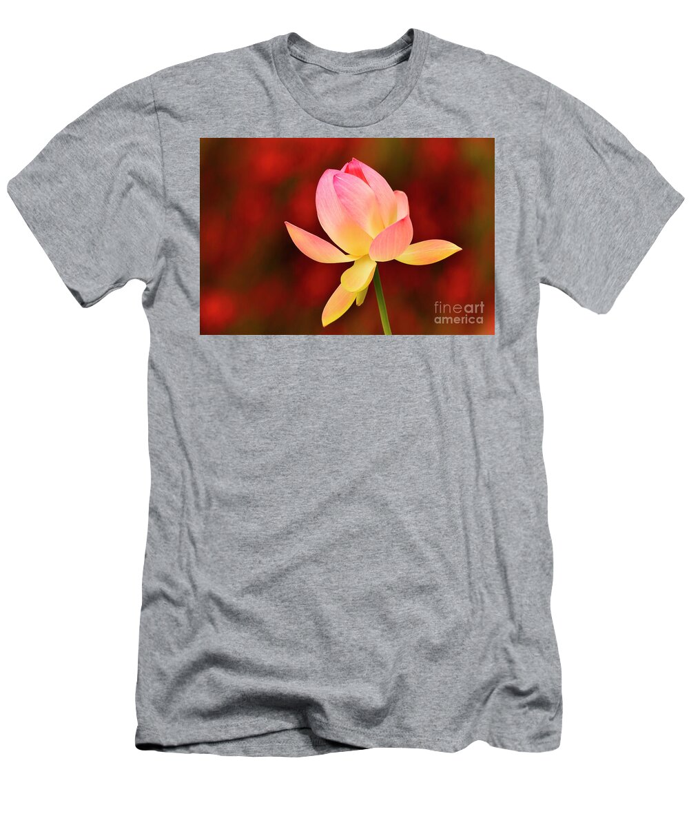 Flower T-Shirt featuring the photograph Impressions by John F Tsumas