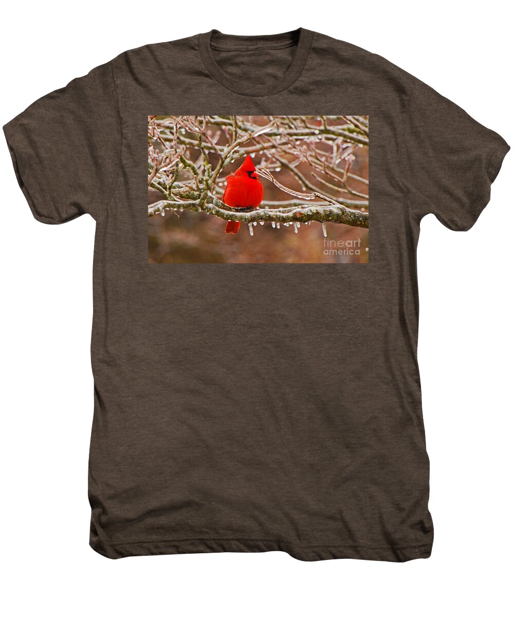 Avian Men's Premium T-Shirt featuring the photograph Cardinal by Mary Carol Story