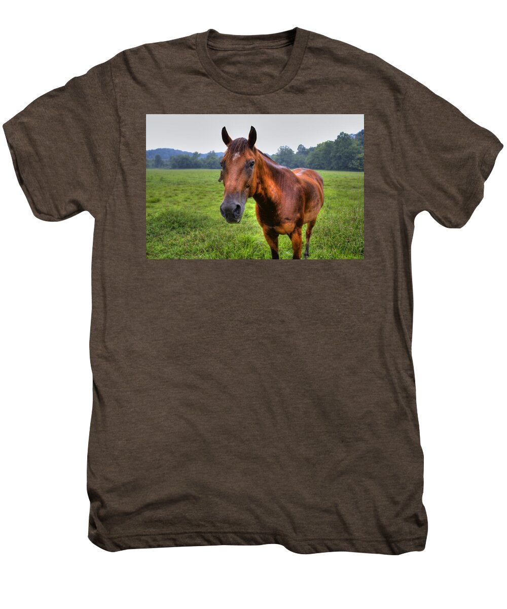 Horse Men's Premium T-Shirt featuring the photograph Horse in a Field by Jonny D