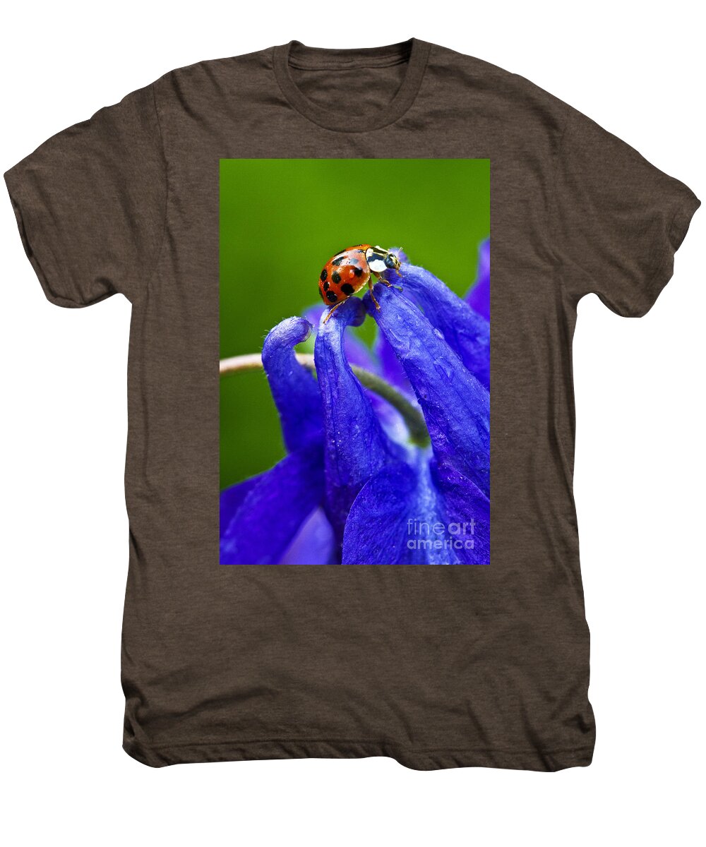 Insect Men's Premium T-Shirt featuring the photograph Ladybug by Carrie Cranwill