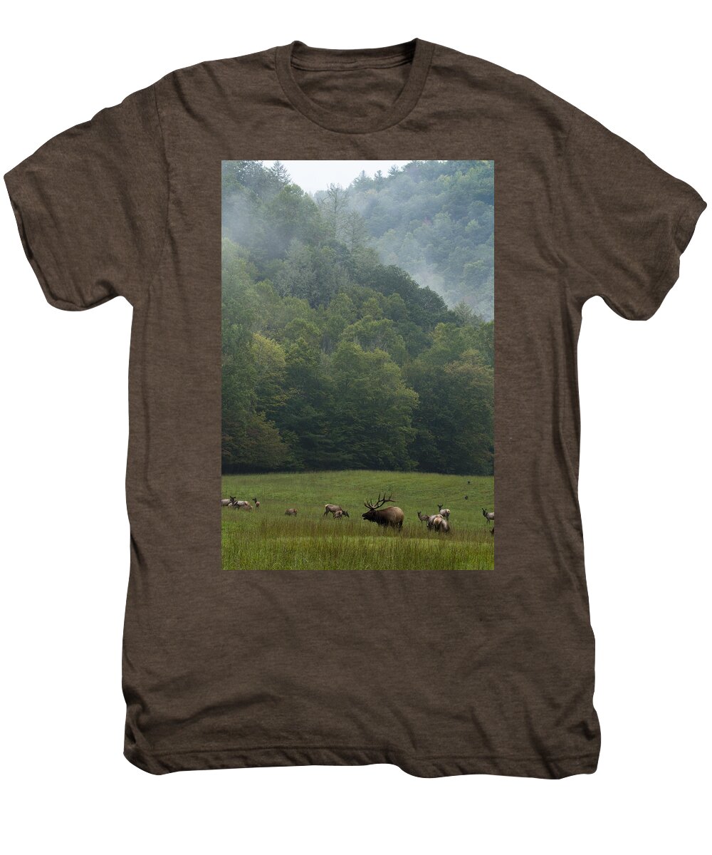 Elk Men's Premium T-Shirt featuring the photograph Cataloochee Elk by Carrie Cranwill