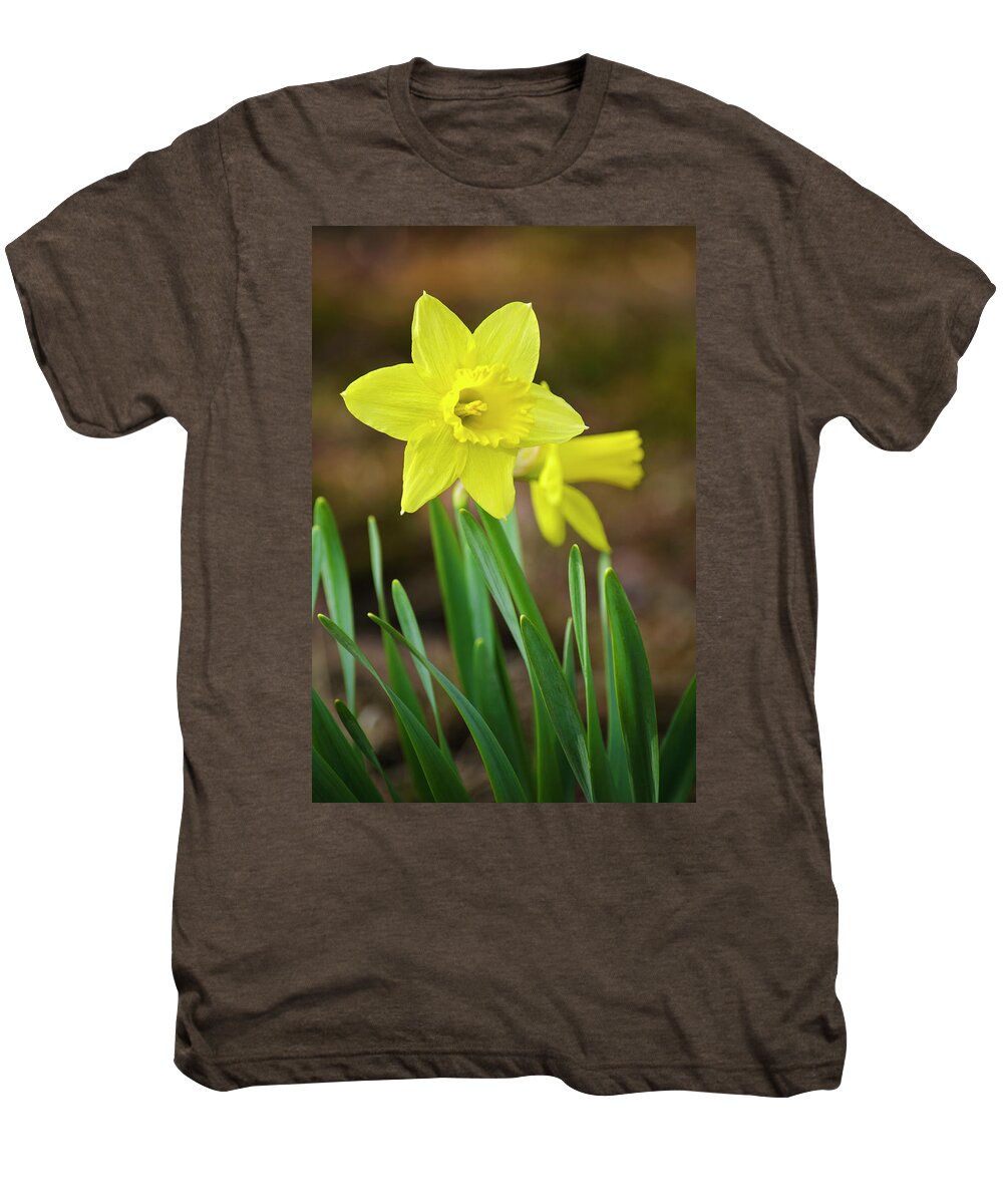 Daffodil Men's Premium T-Shirt featuring the photograph Beautiful Daffodil Flower by Christina Rollo