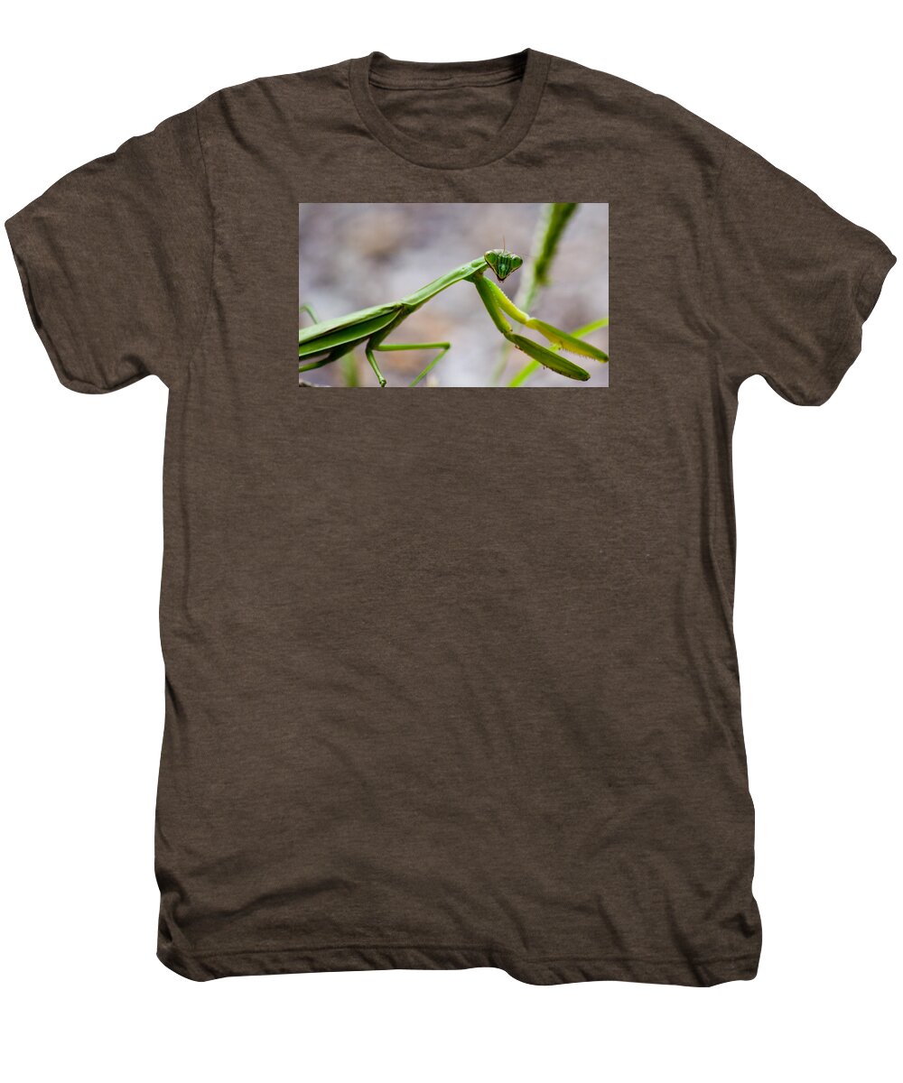 Praying Men's Premium T-Shirt featuring the photograph Praying Mantis Looking by Jonny D