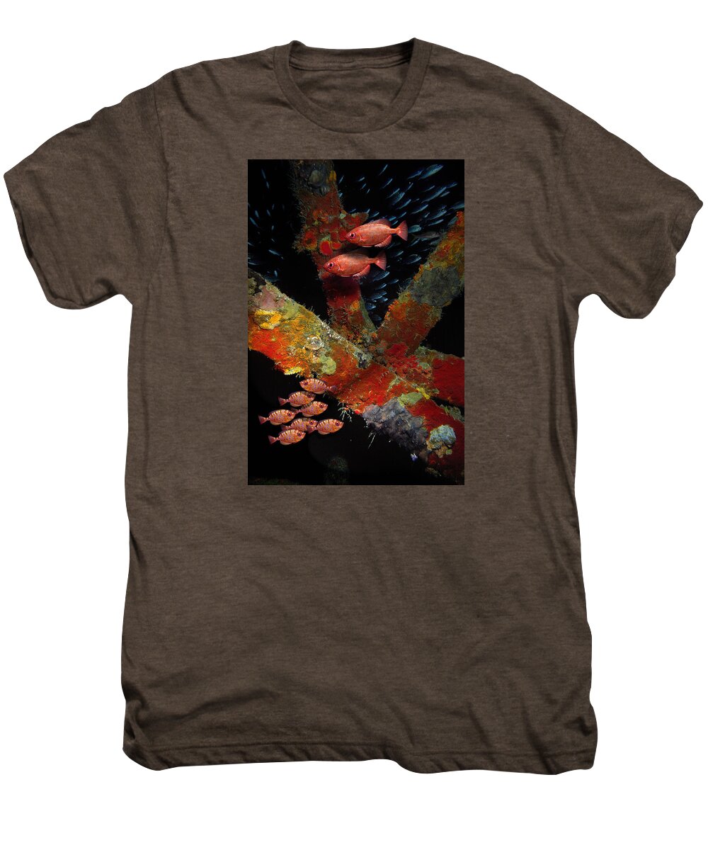 Sail Men's Premium T-Shirt featuring the photograph Red fish on the Rhone by Gary Felton