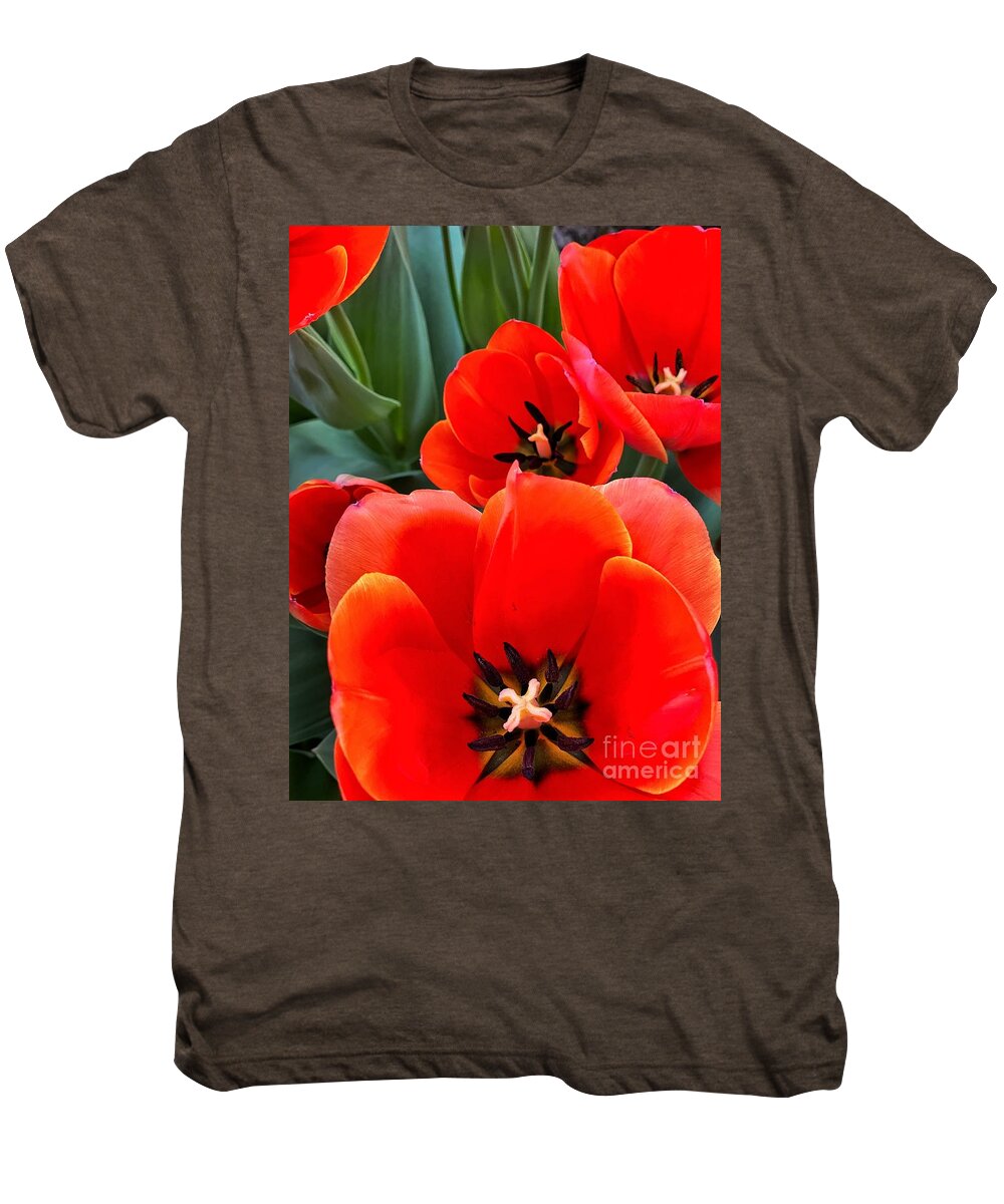 Color Men's Premium T-Shirt featuring the photograph Ad Rem Tulips by Jeanette French