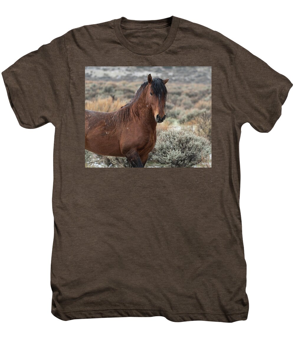 Wild Horses Men's Premium T-Shirt featuring the photograph Just Handsome by Mary Hone