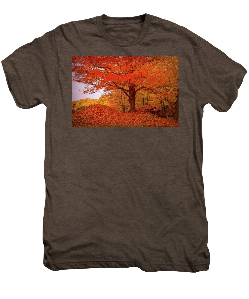 Peabody Massachusetts Men's Premium T-Shirt featuring the photograph Sturdy Maple in Autumn Orange by Jeff Folger