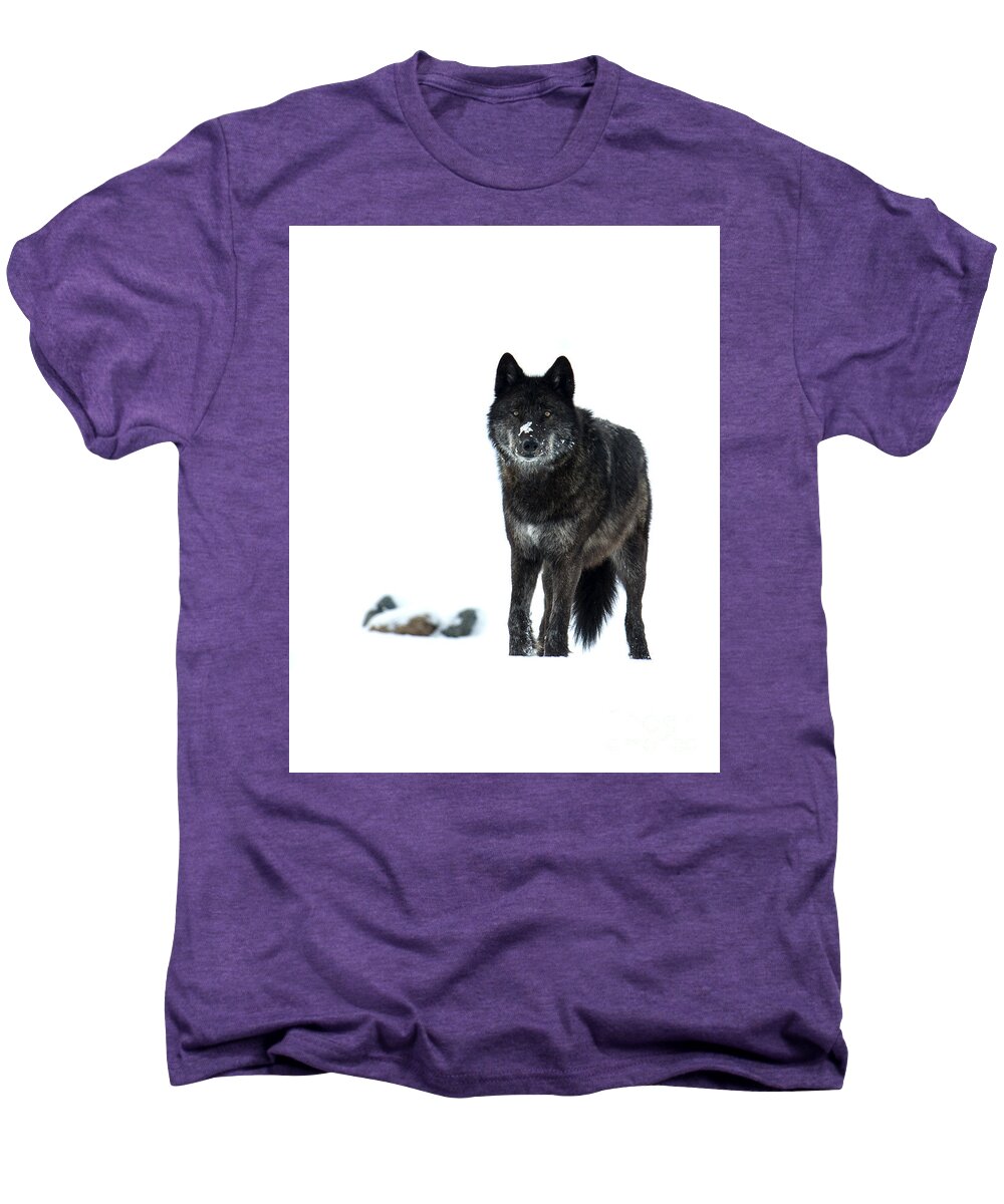 Wolf Men's Premium T-Shirt featuring the photograph Here's Looking at You #1 by Deby Dixon