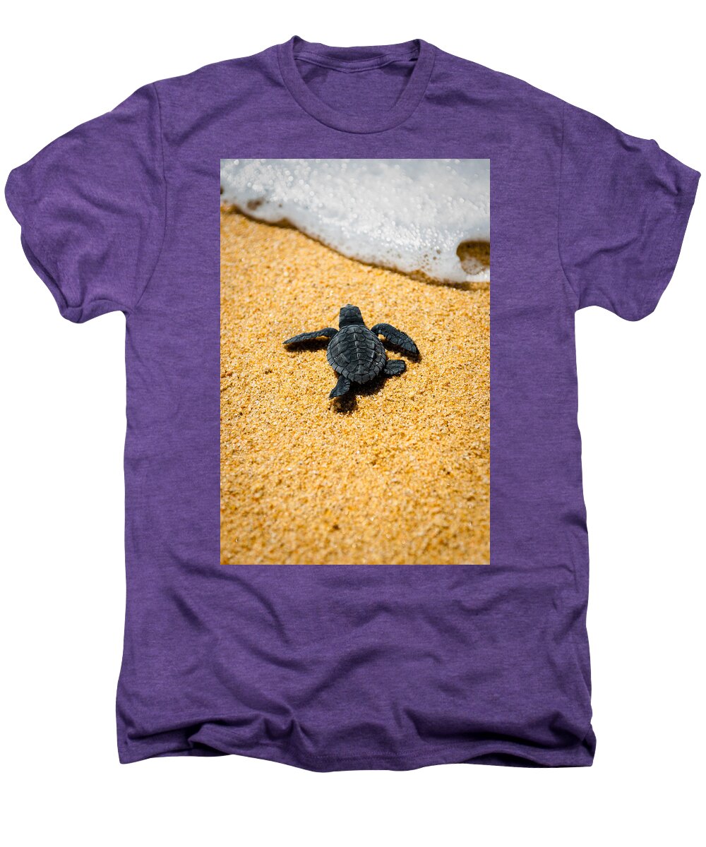 Baby Loggerhead Men's Premium T-Shirt featuring the photograph Home by Sebastian Musial