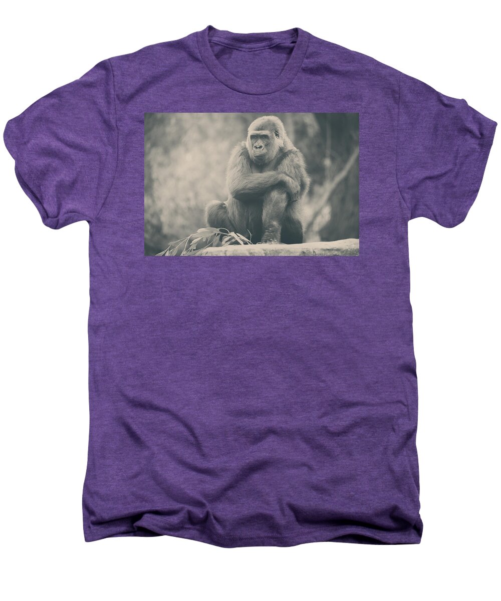 Gorillas Men's Premium T-Shirt featuring the photograph Looking So Sad by Laurie Search