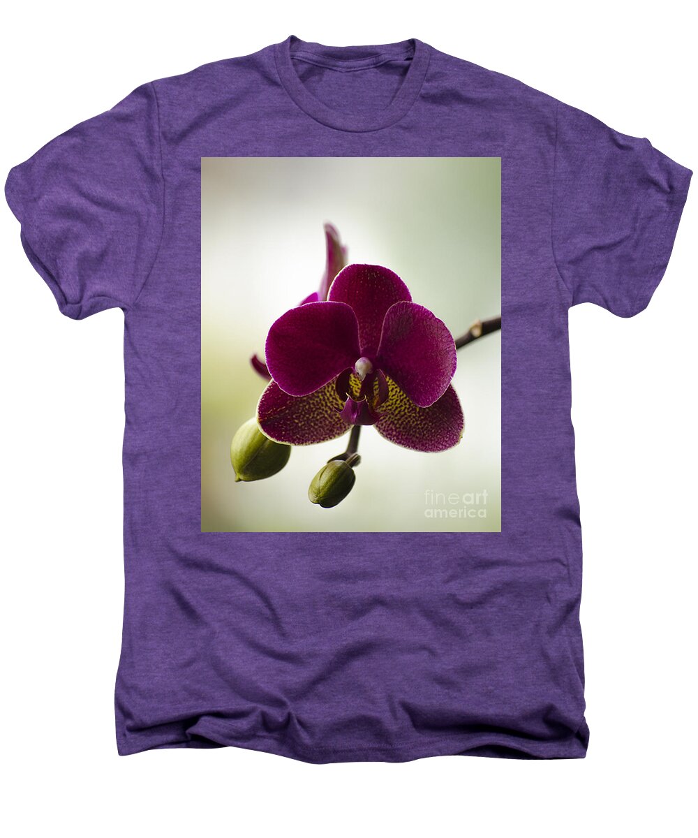 Beauty Men's Premium T-Shirt featuring the photograph Orchid by Linsey Williams