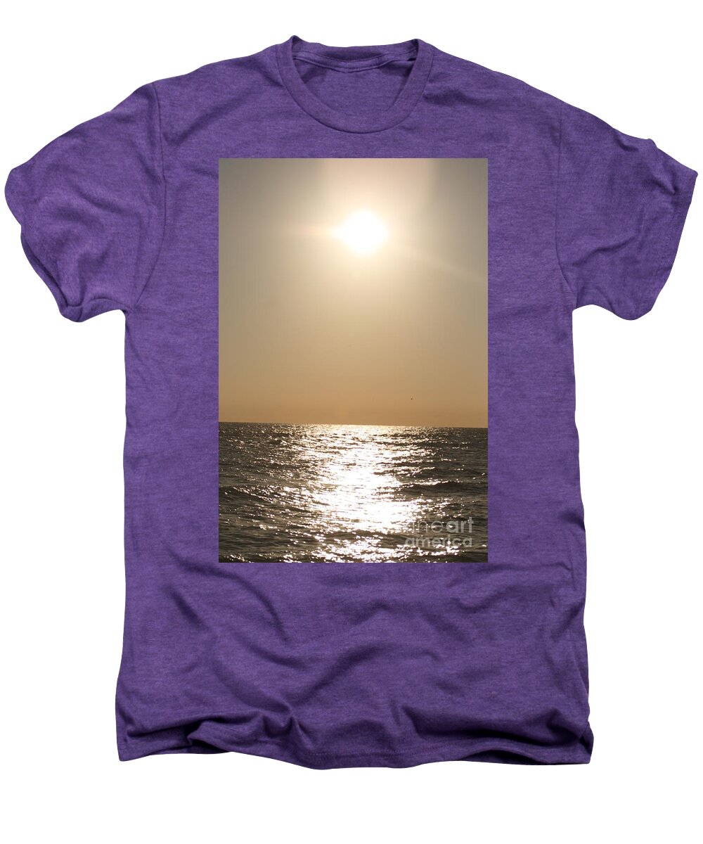 Silver Men's Premium T-Shirt featuring the photograph Silver and Gold by Nadine Rippelmeyer