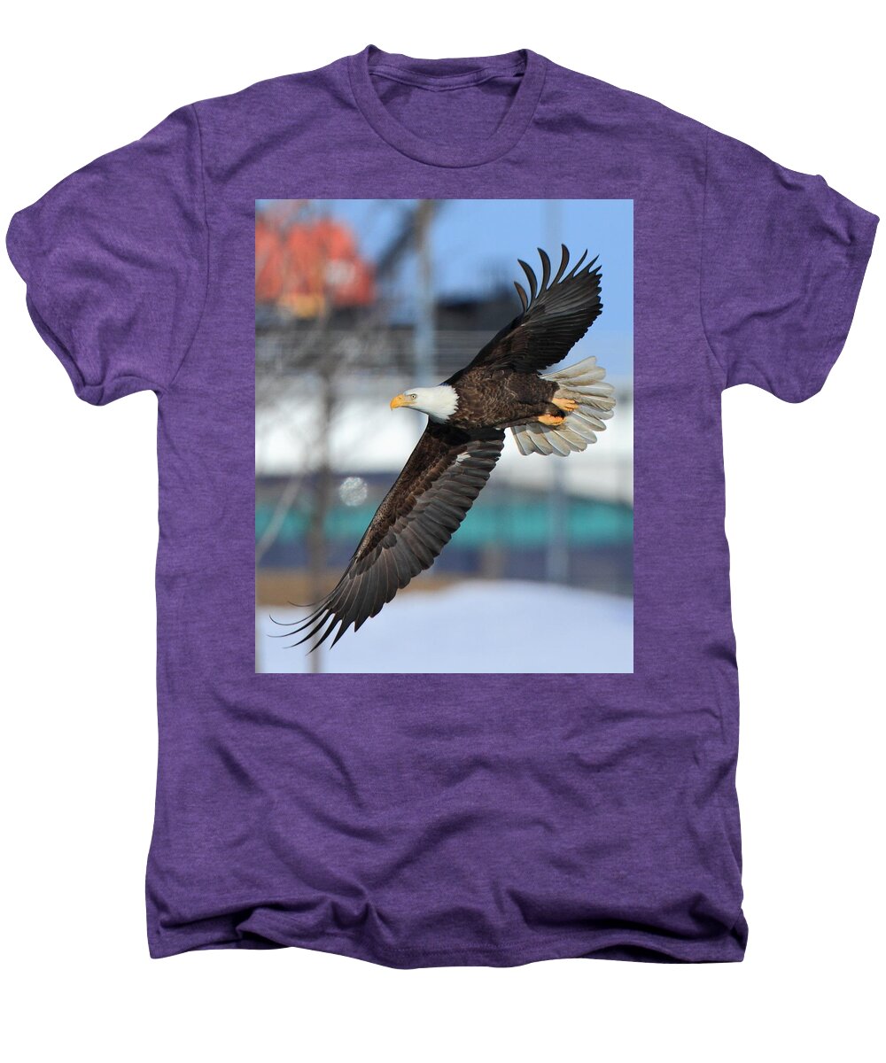 American Bald Eagle Men's Premium T-Shirt featuring the photograph Soaring Eagle by Coby Cooper