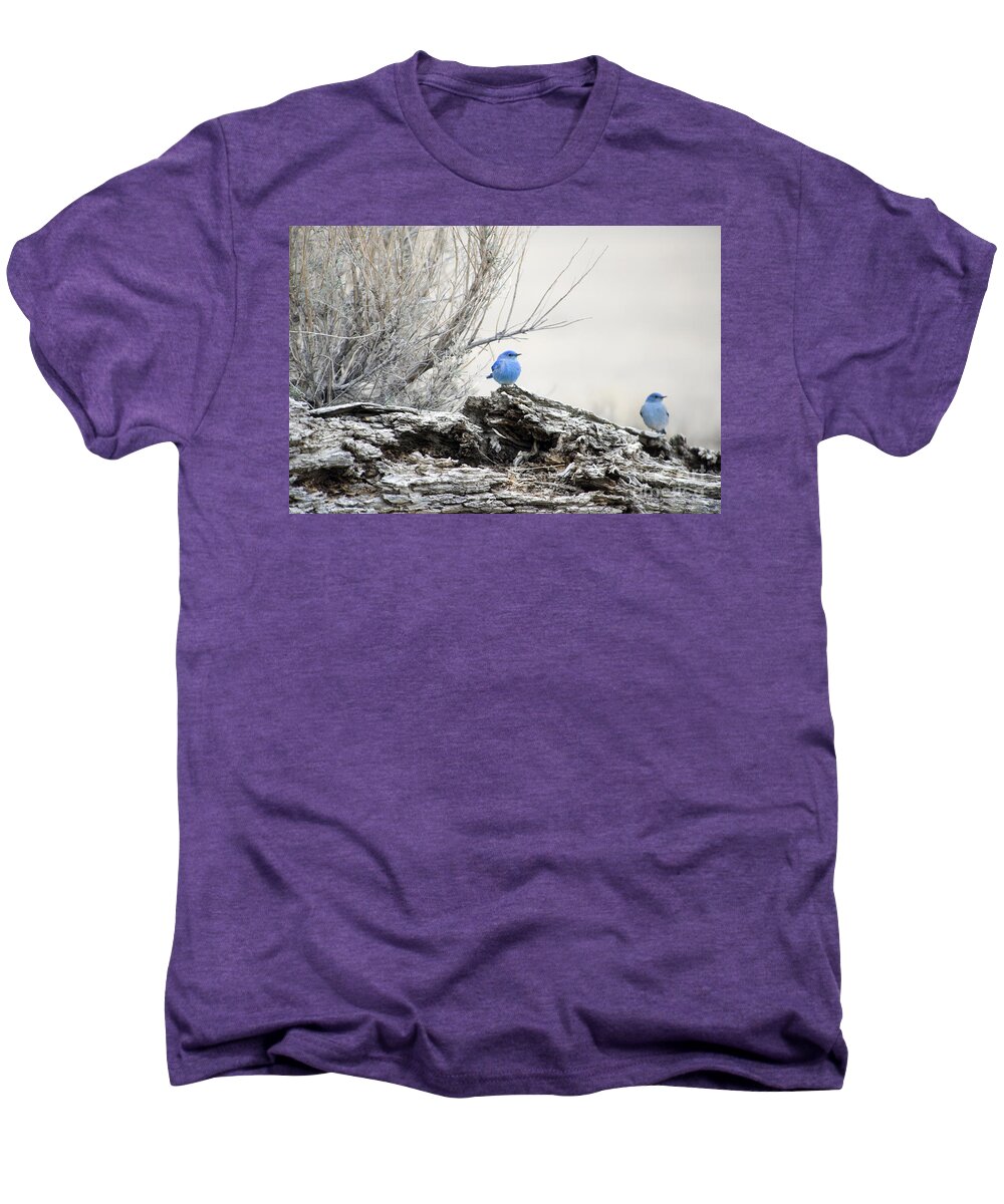 Mountain Bluebirds Men's Premium T-Shirt featuring the photograph Twice as Happy by Deby Dixon