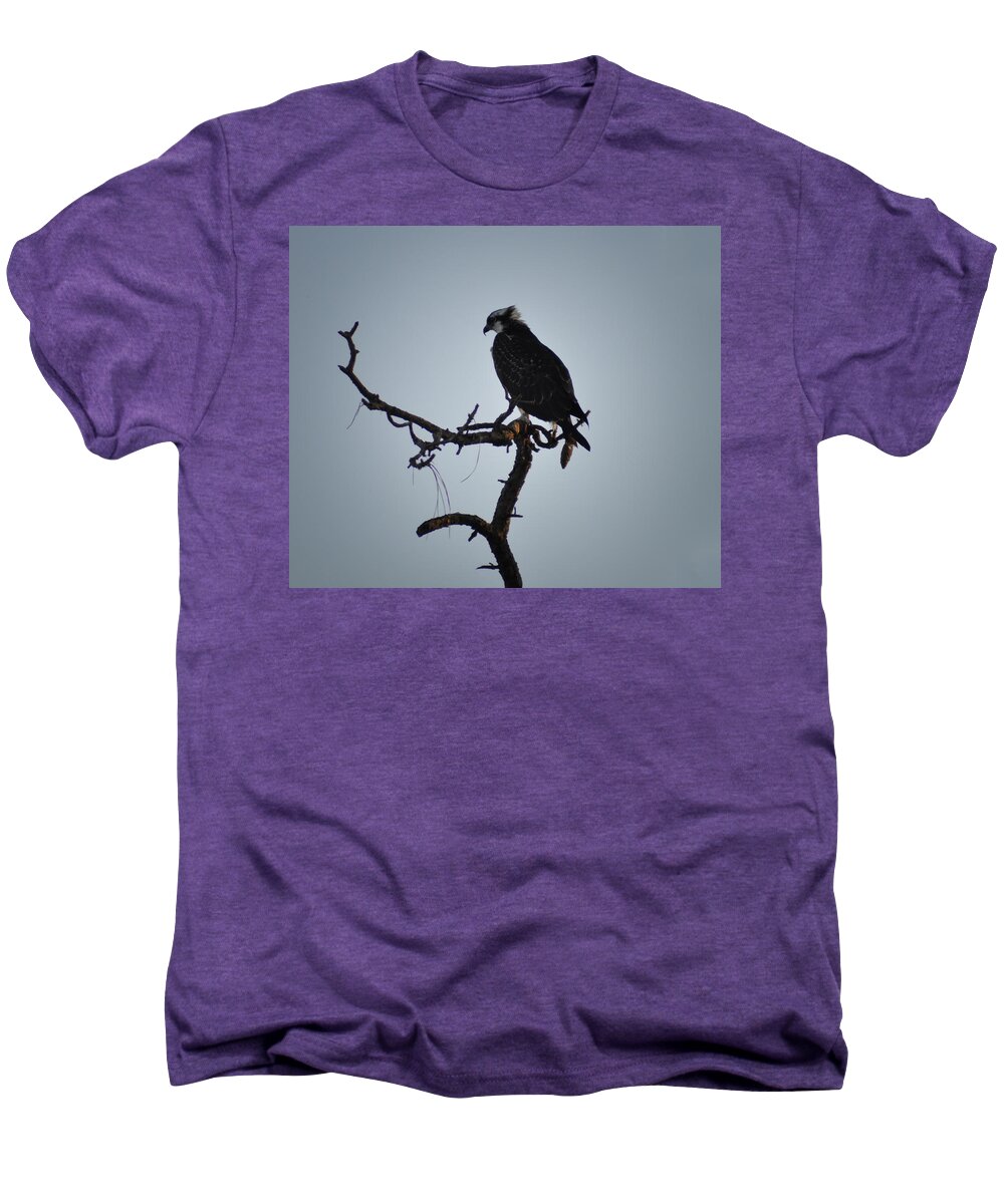 The Osprey Men's Premium T-Shirt featuring the photograph The Osprey by Bill Cannon