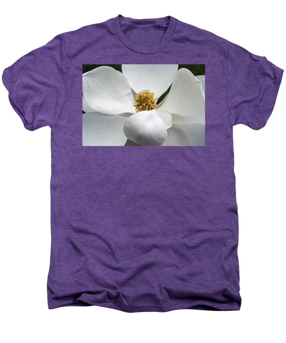 Magnolia Men's Premium T-Shirt featuring the photograph Magnolia Flower #2 by Nathan Little