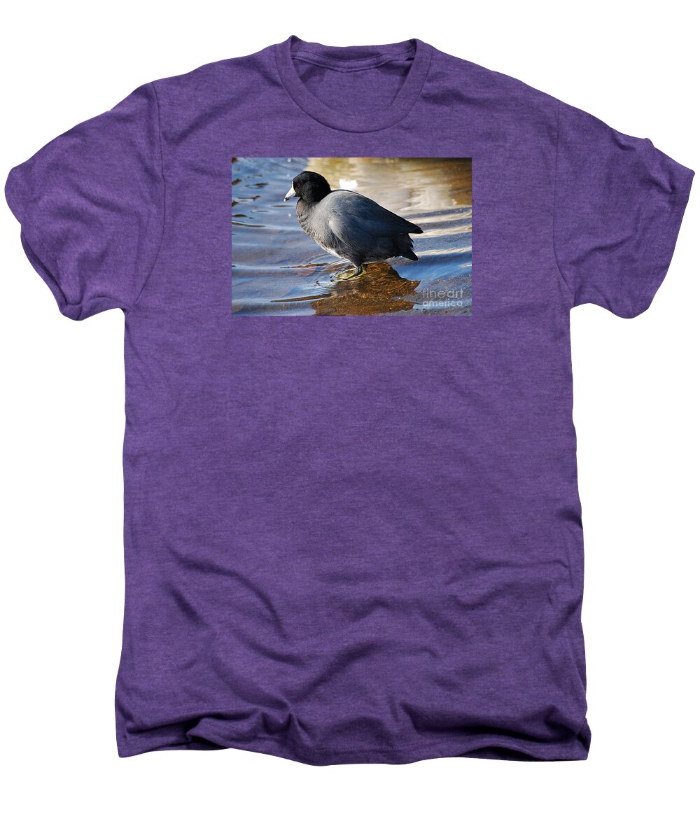 Coot Men's Premium T-Shirt featuring the photograph 20131106_66 #2013110666 by Tina Hopkins